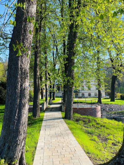 Parkblick